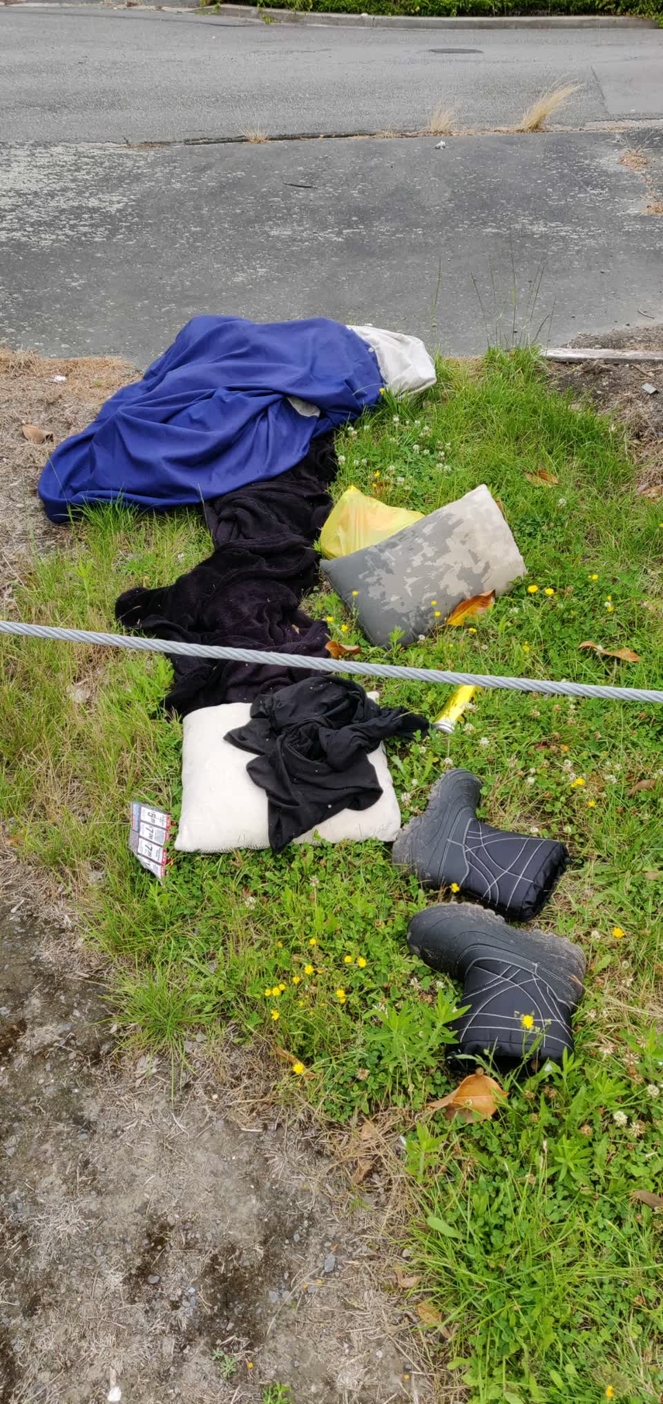 The photograph attached to this rubbish/recycling report