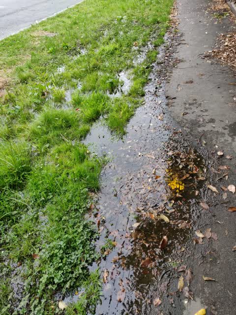 Water Supply, a report photo