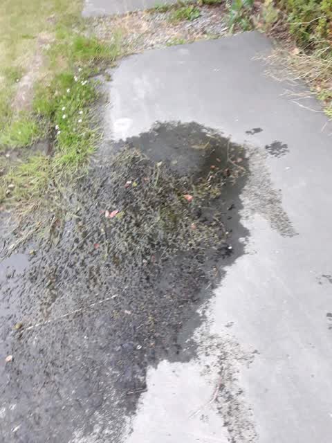 Water Supply, a report photo
