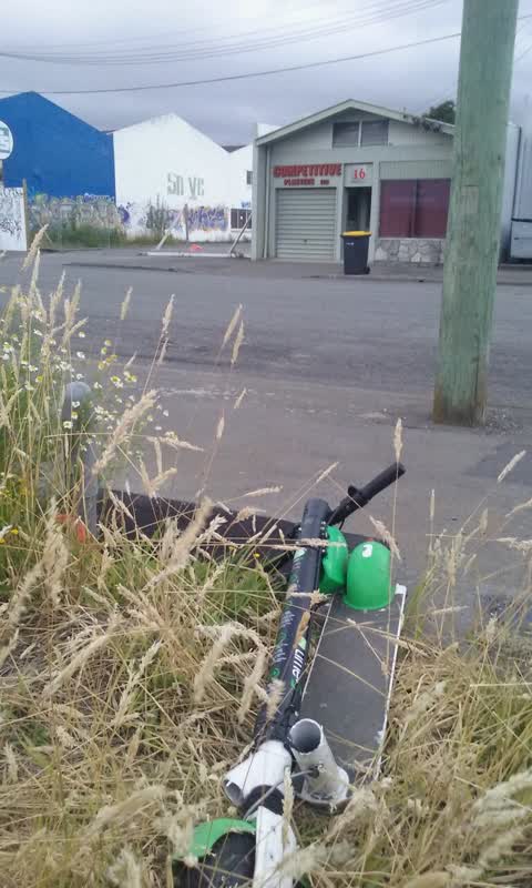 Rubbish/Recycling, a report photo
