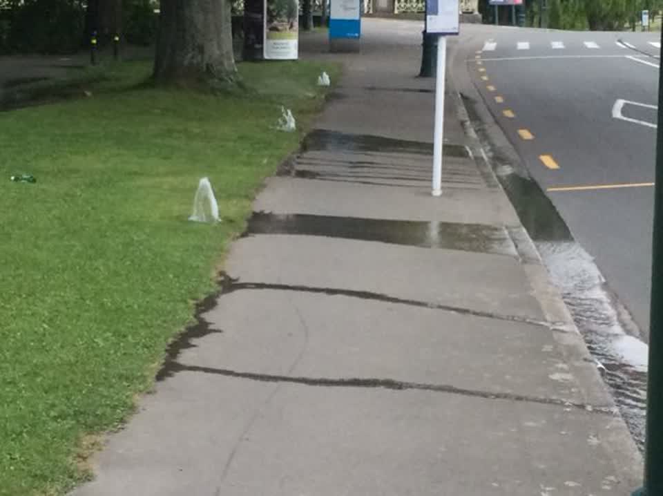 The photograph attached to this parks report