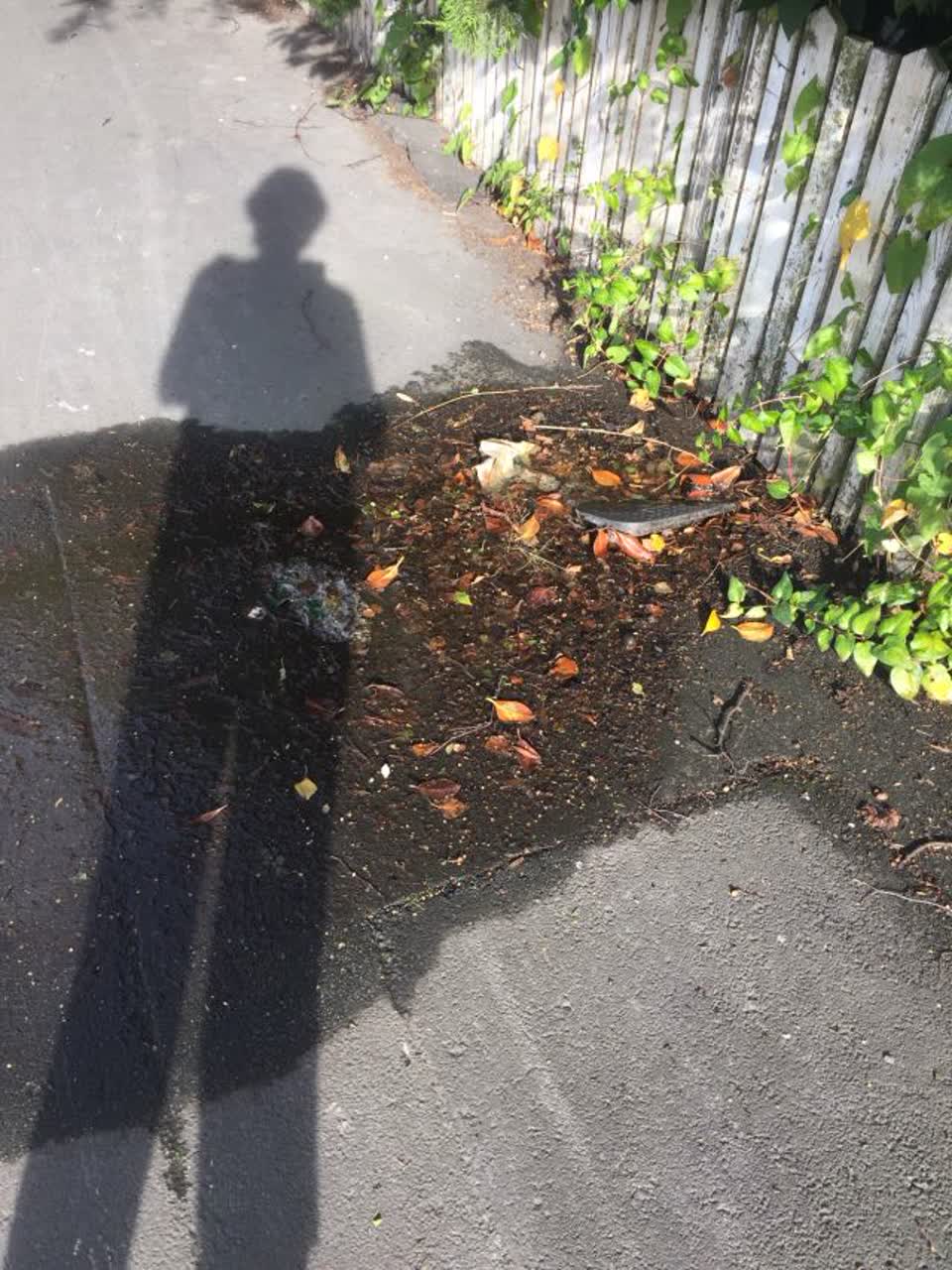 The photograph attached to this water supply report