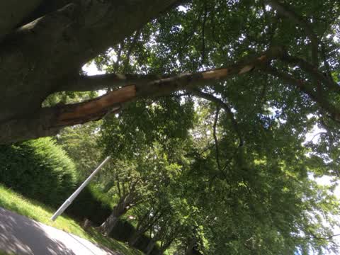 Parks, a report photo