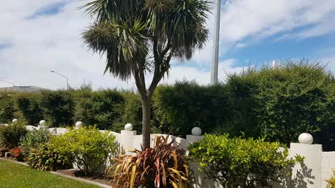 Roading/Streets, a report photo