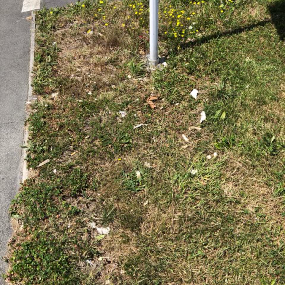 The photograph attached to this rubbish/recycling report