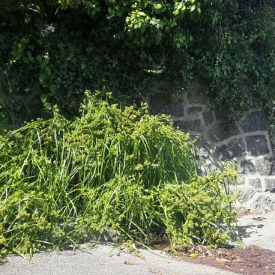 The photograph attached to this wastewater/stormwater report