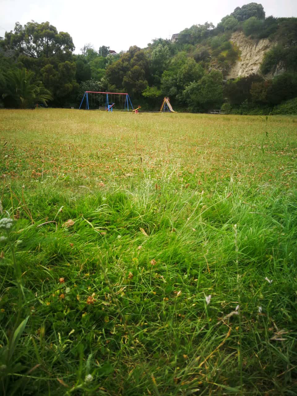 The photograph attached to this parks report