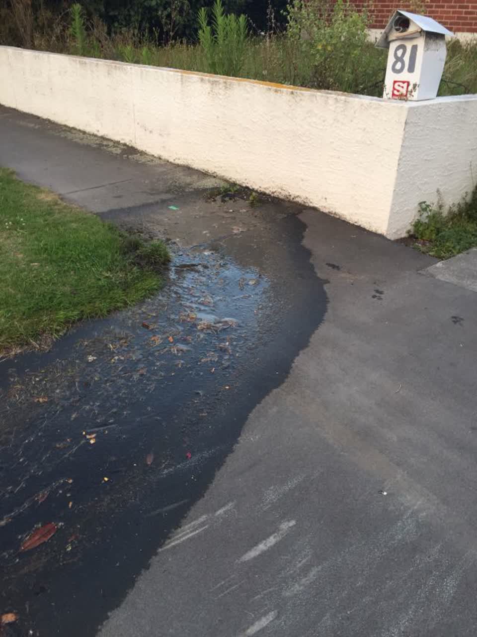 The photograph attached to this water supply report