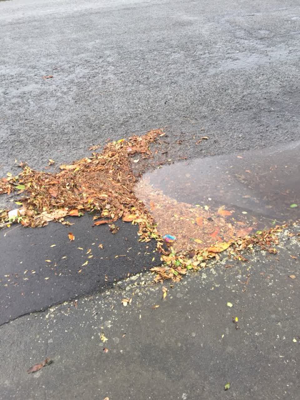 The photograph attached to this flooding report