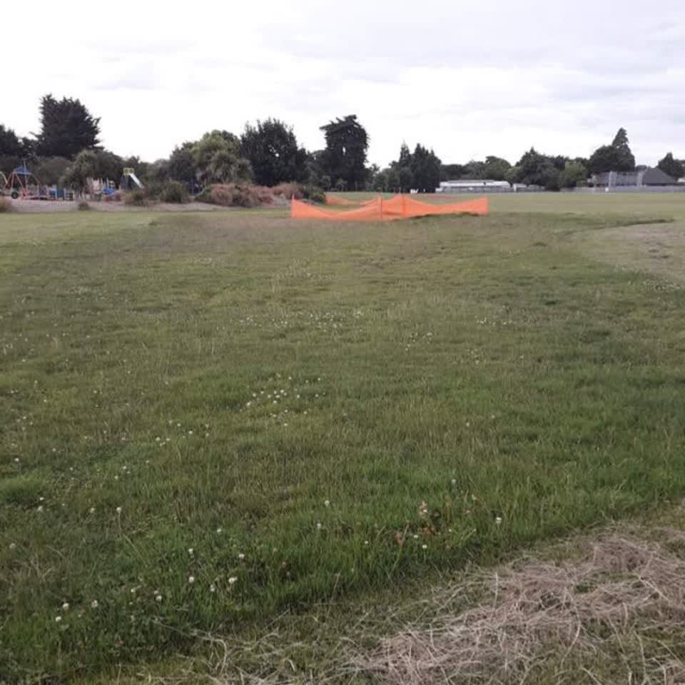 The photograph attached to this parks report