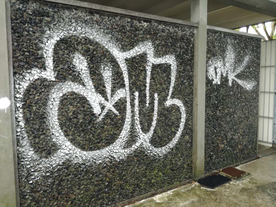 The photograph attached to this graffiti report
