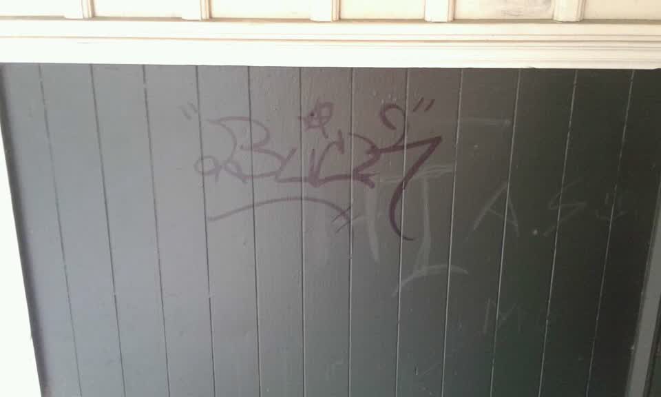 The photograph attached to this graffiti report