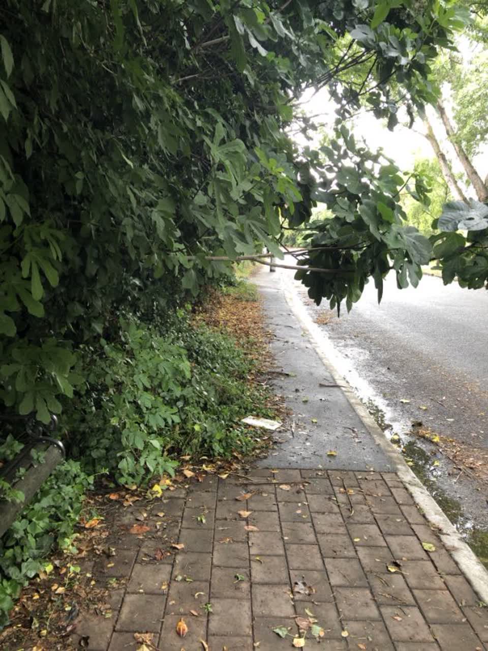 The photograph attached to this roading/streets report
