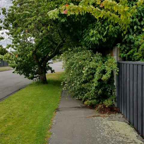 Roading/Streets, a report photo