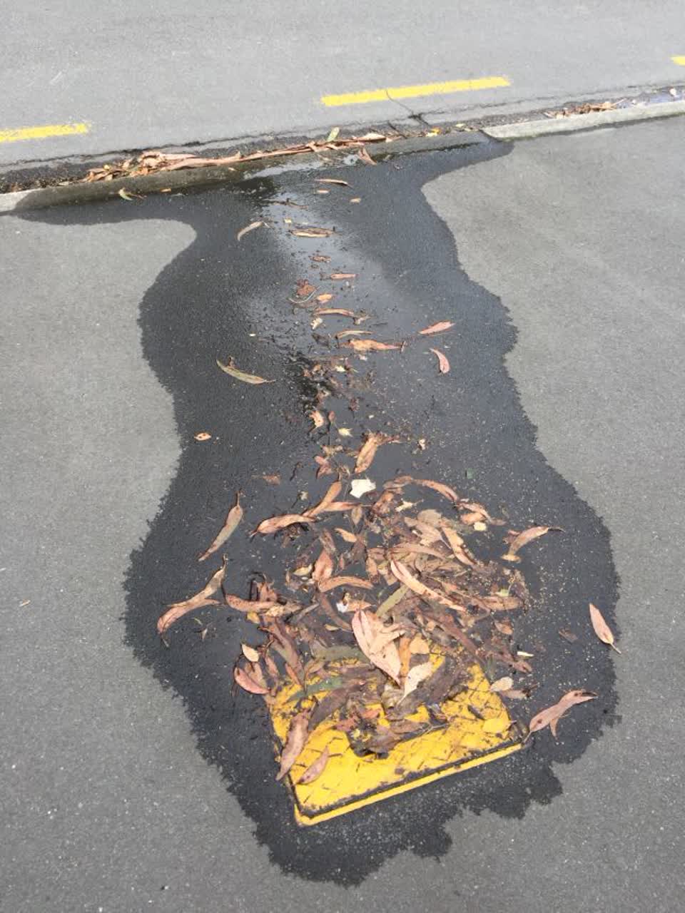 The photograph attached to this water supply report