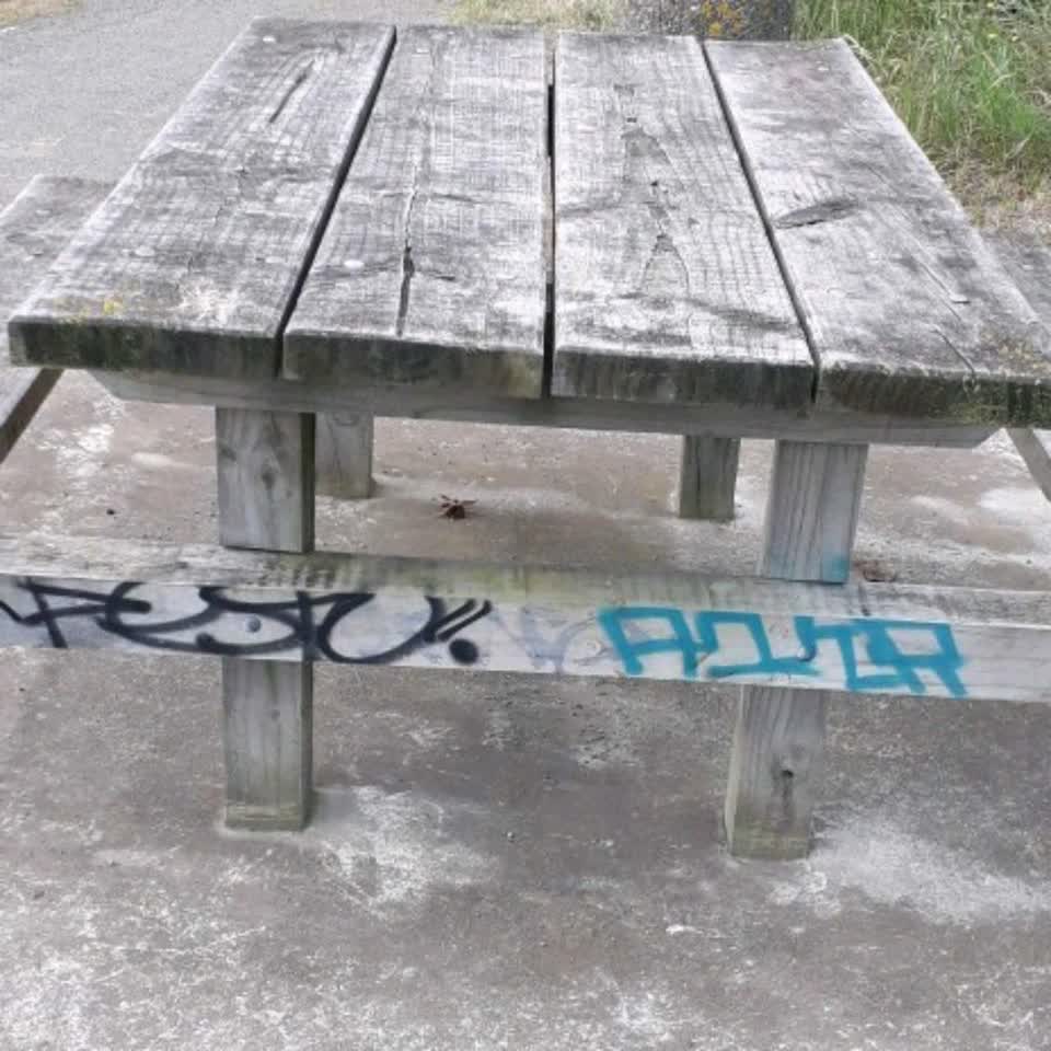 The photograph attached to this graffiti report