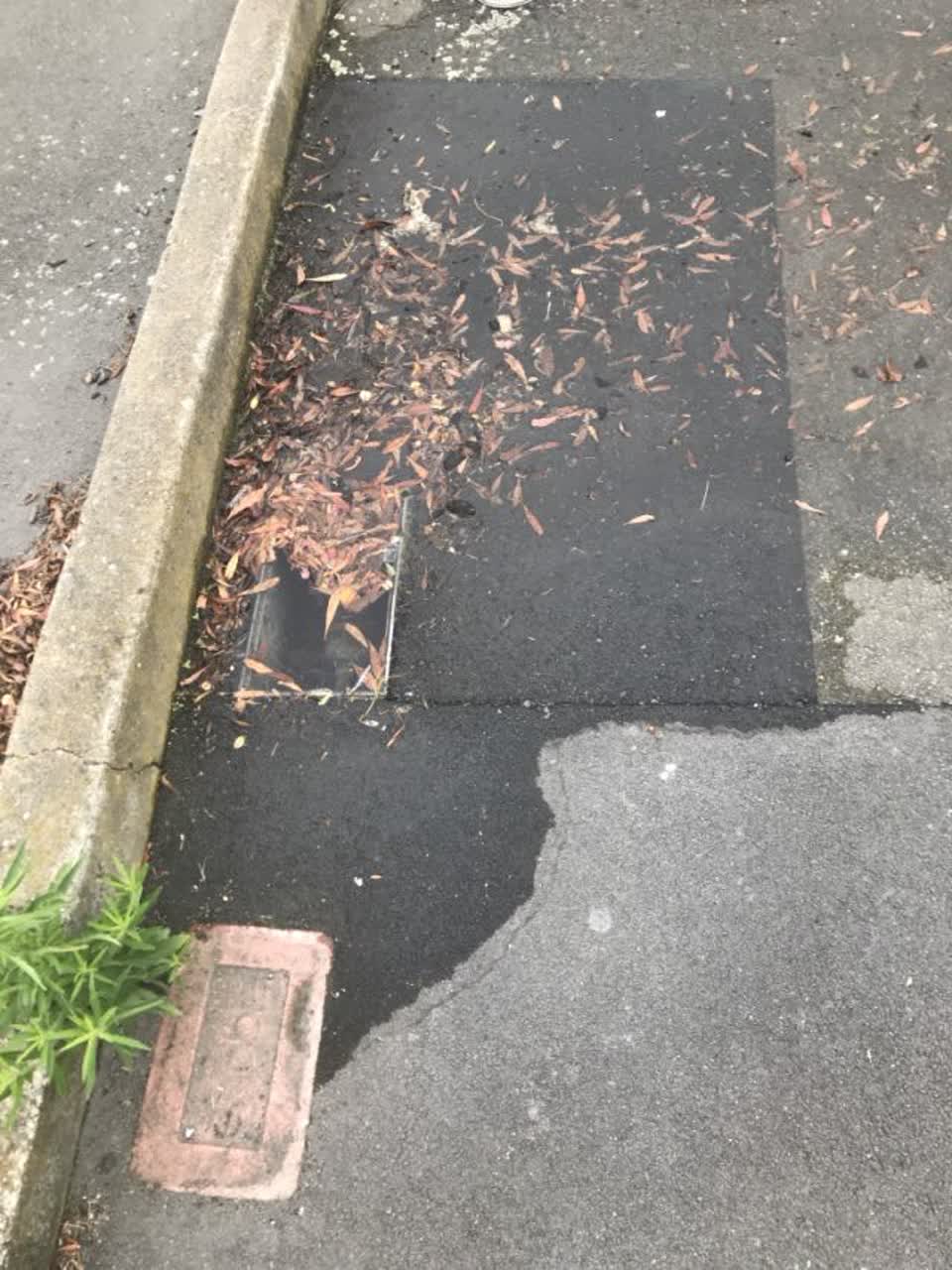 The photograph attached to this water supply report