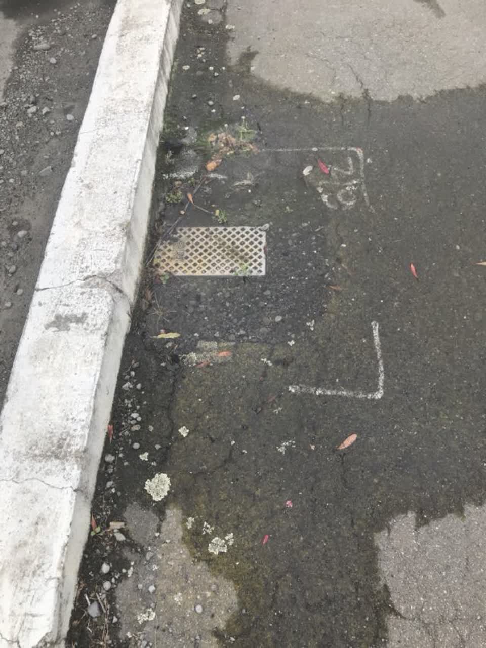The photograph attached to this water supply report