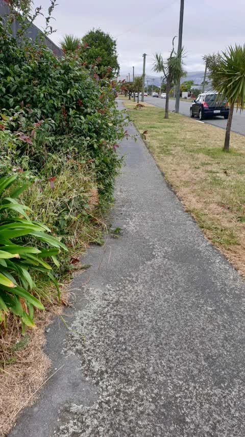 Roading/Streets, a report photo