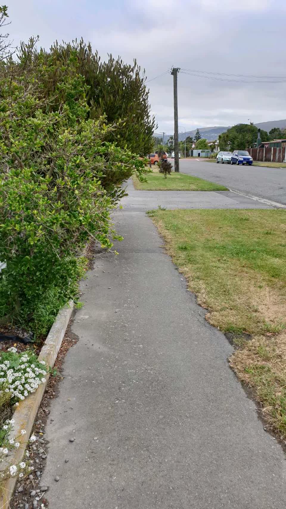 The photograph attached to this roading/streets report