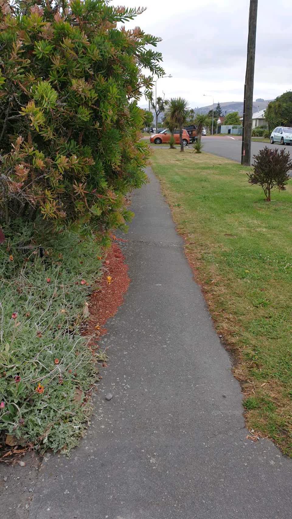 The photograph attached to this roading/streets report