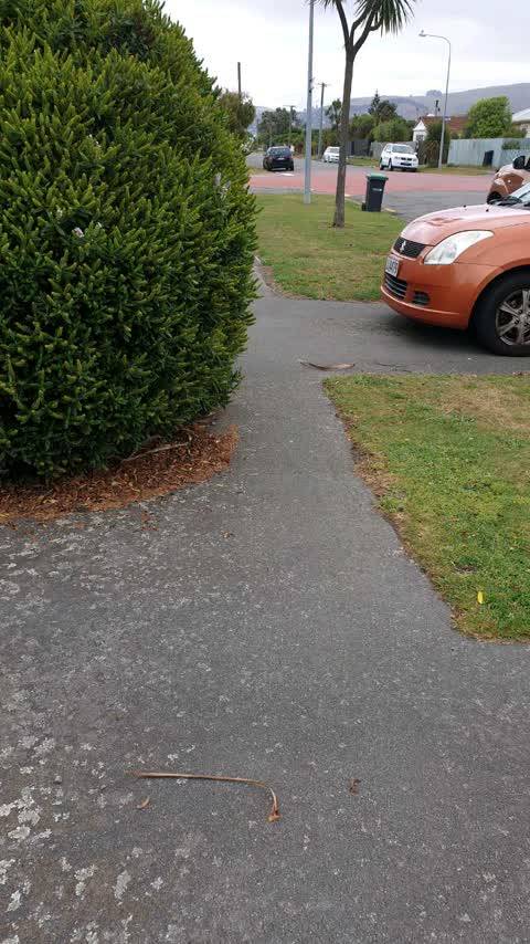 Roading/Streets, a report photo