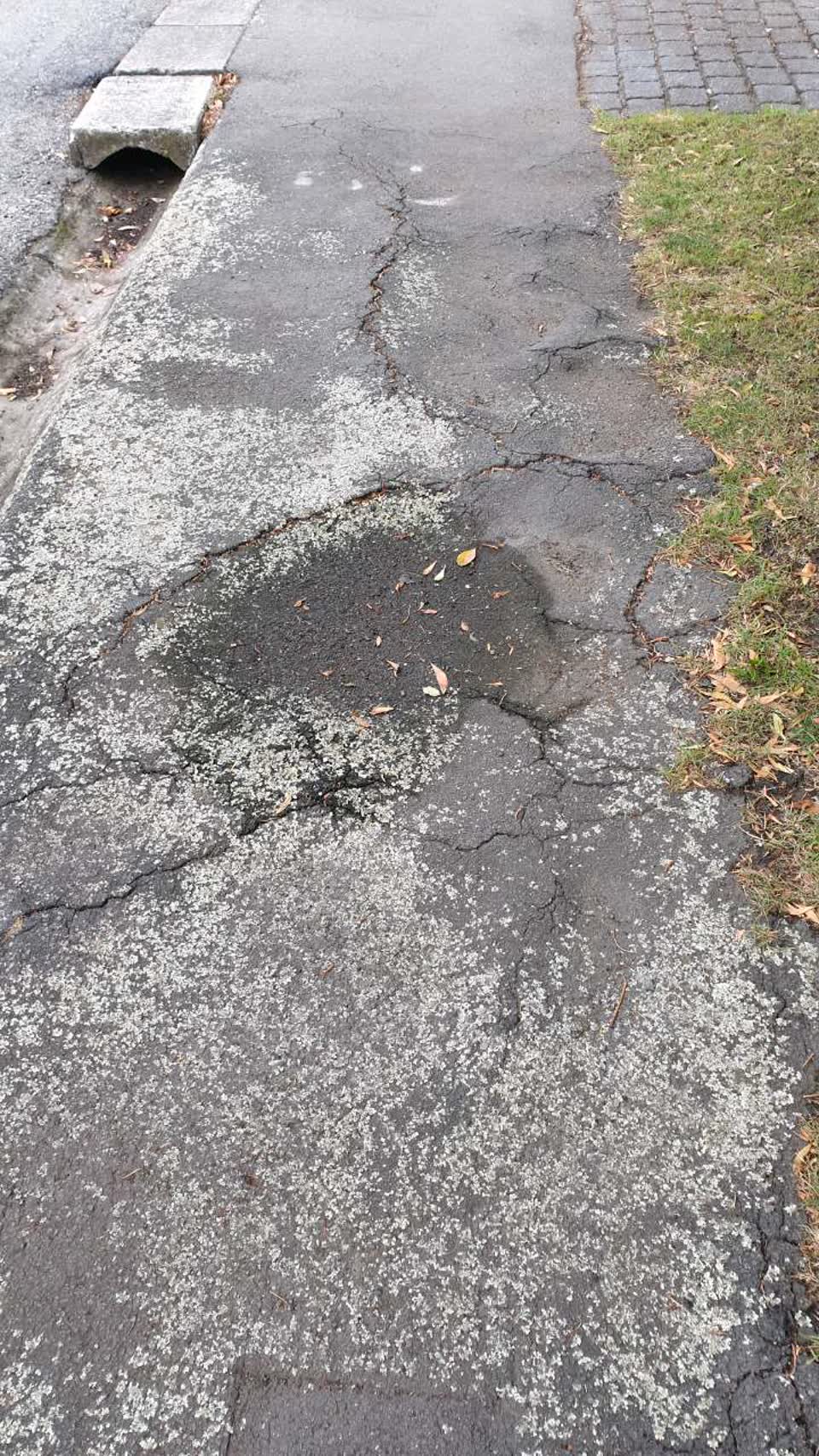 The photograph attached to this roading/streets report