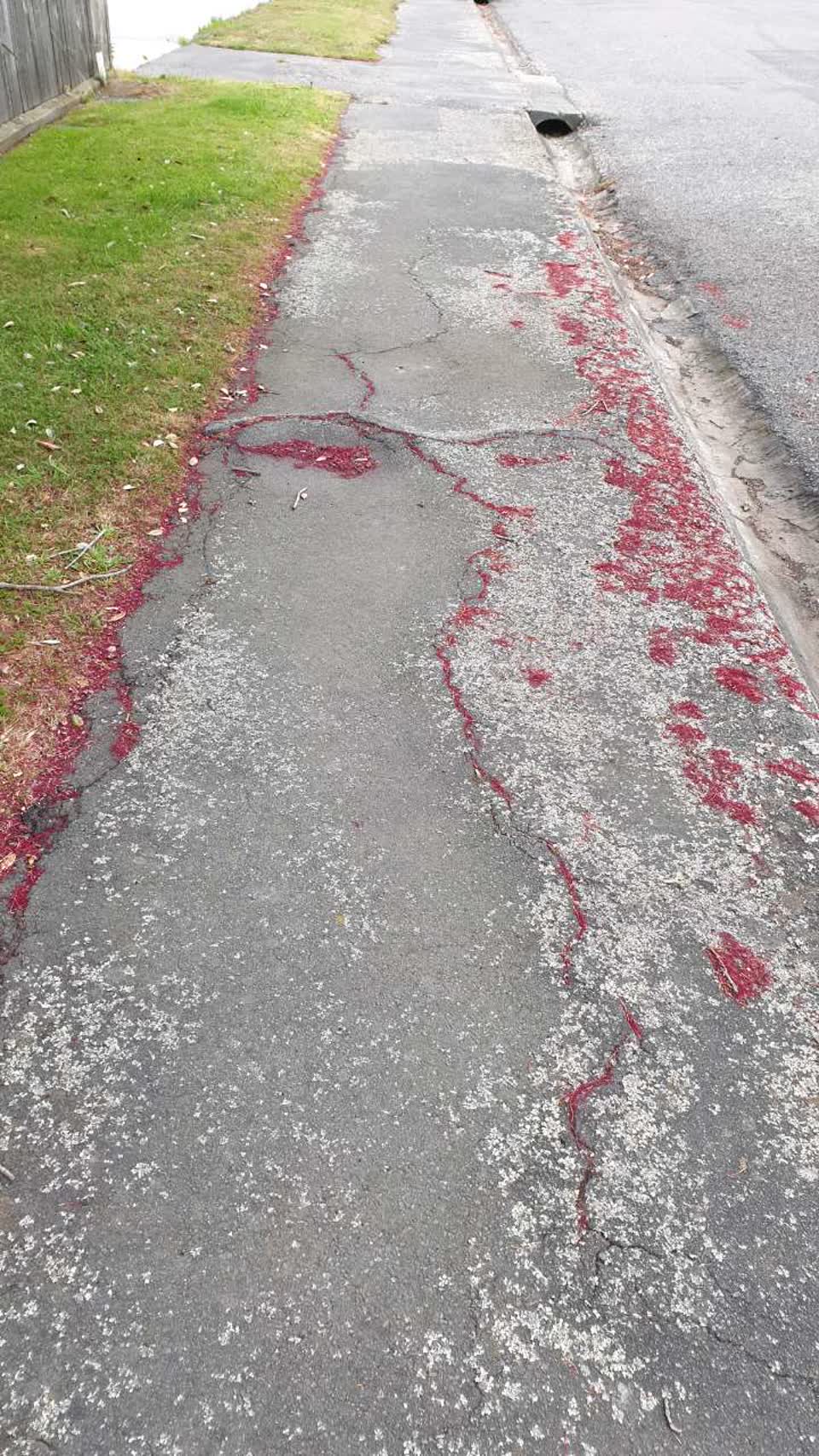 The photograph attached to this roading/streets report