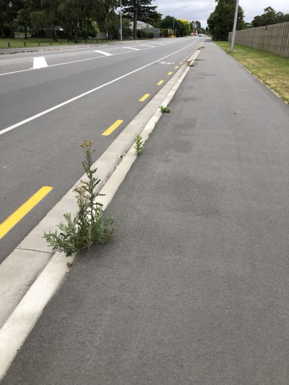 The photograph attached to this roading/streets report