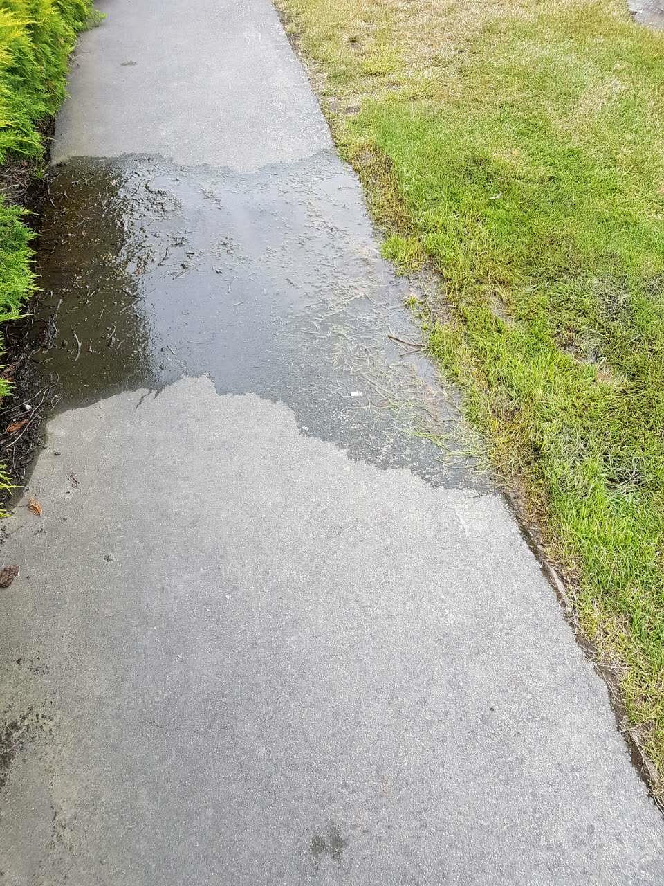 The photograph attached to this water supply report