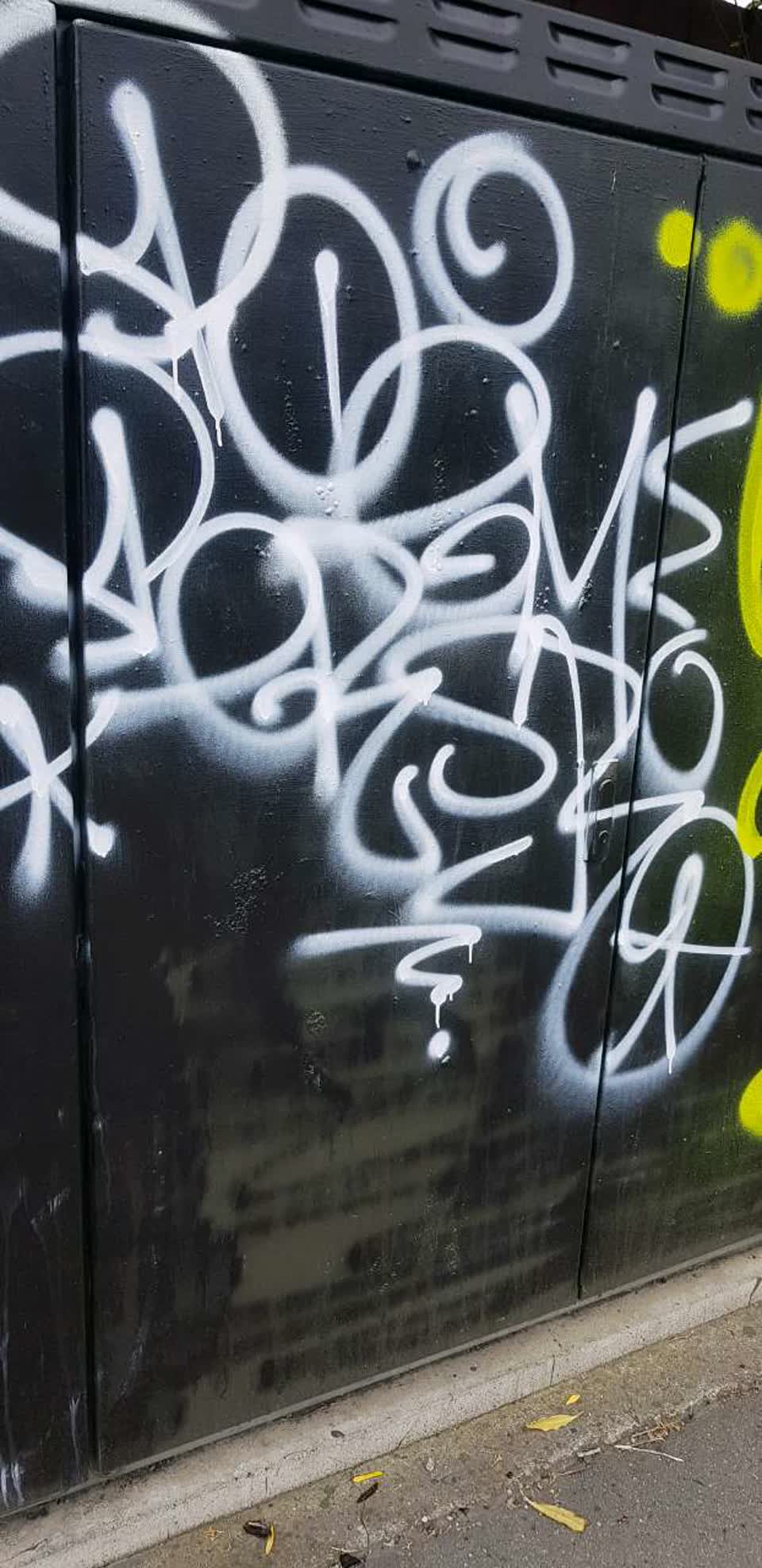 The photograph attached to this graffiti report