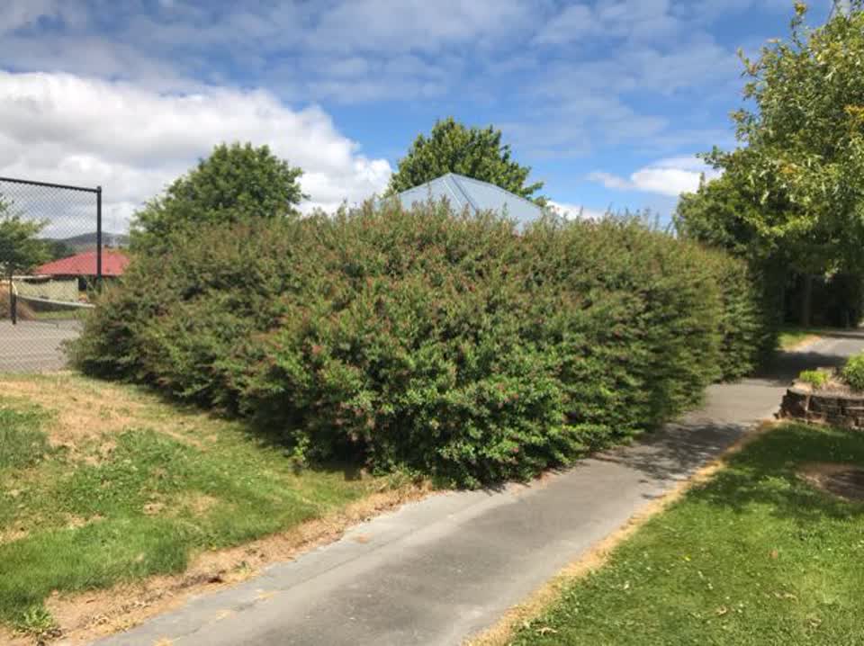 The photograph attached to this parks report