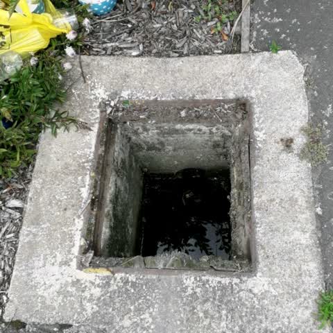 Wastewater/Stormwater — a report photo