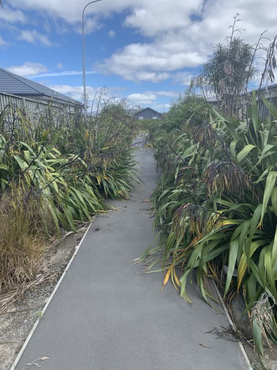 The photograph attached to this parks report