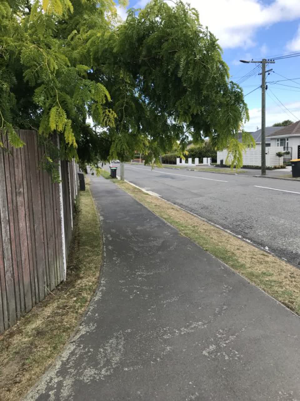 The photograph attached to this roading/streets report