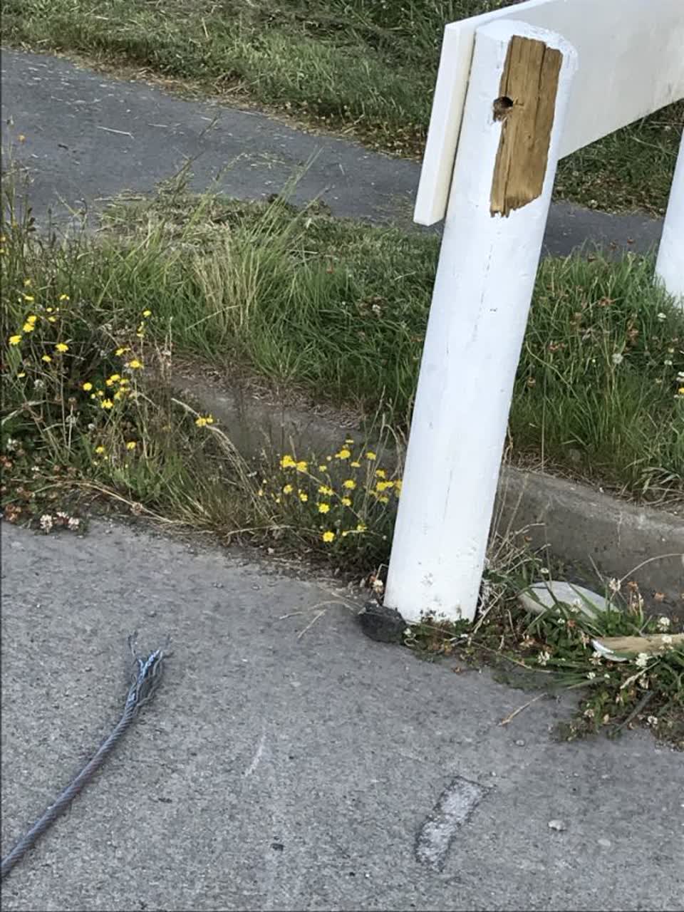 The photograph attached to this parks report