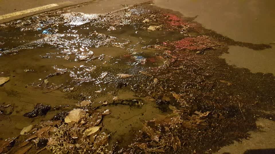 The photograph attached to this water supply report