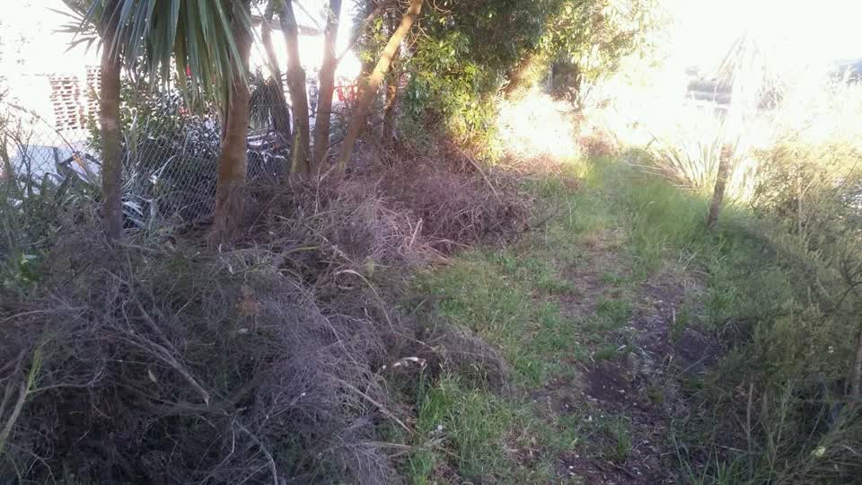 The photograph attached to this parks report