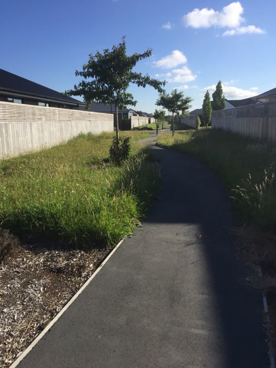 The photograph attached to this parks report