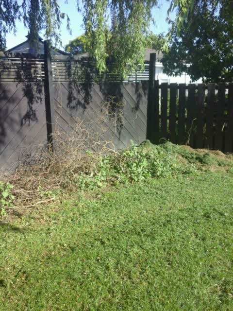 Rubbish/Recycling, a report photo