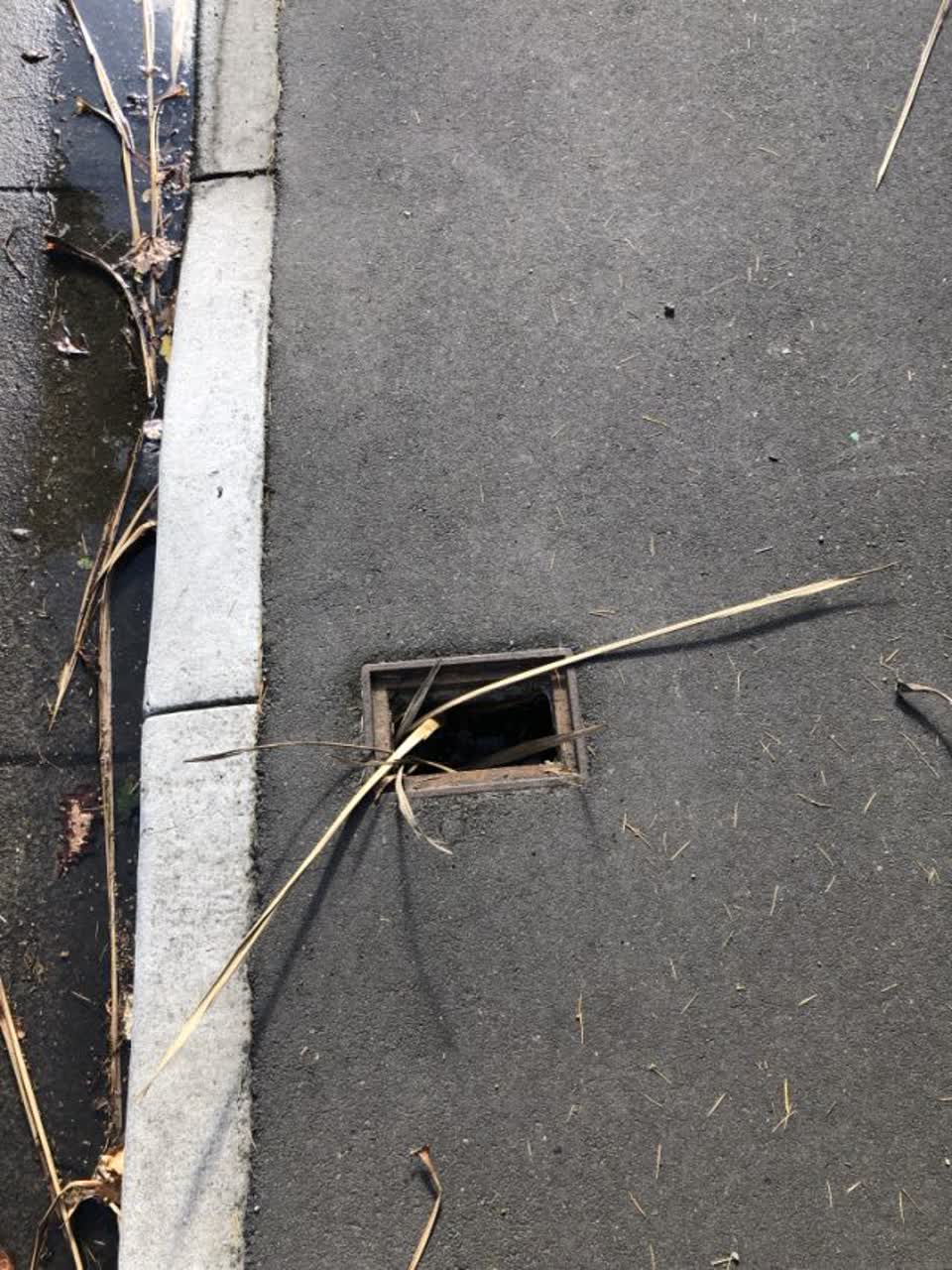 The photograph attached to this roading/streets report