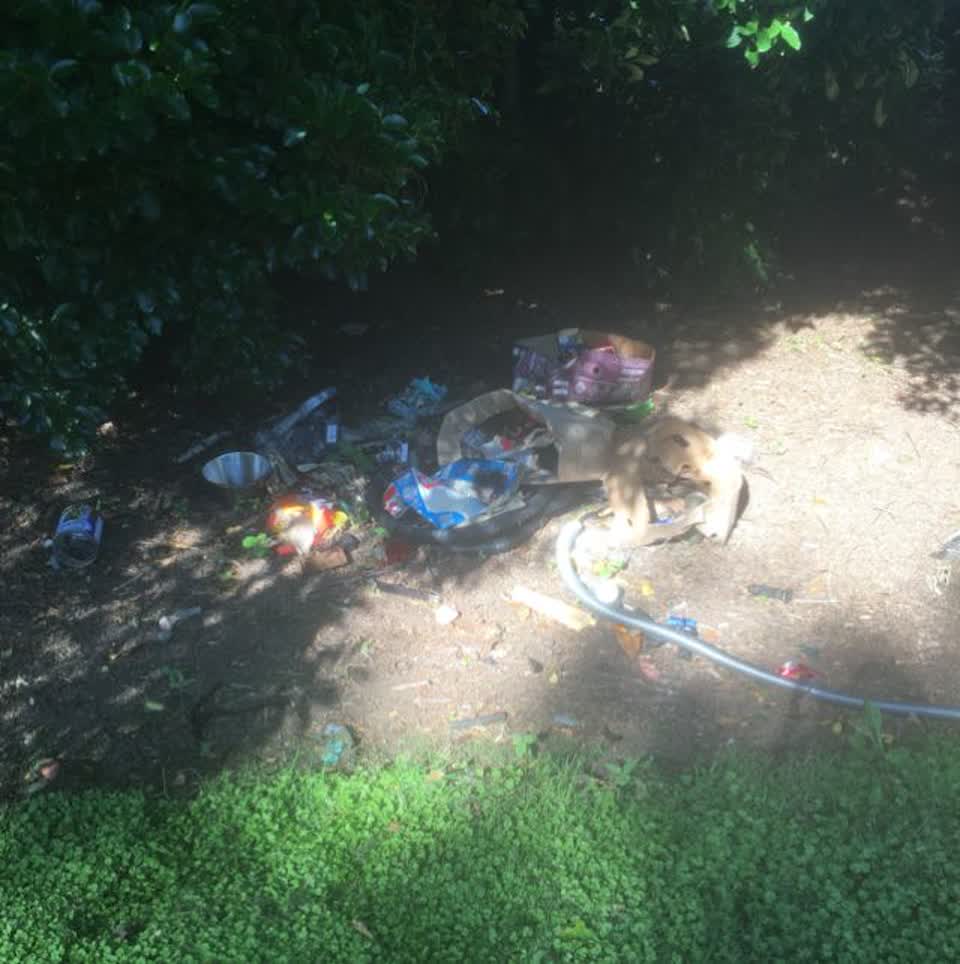 The photograph attached to this parks report