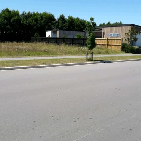 Parks, a report photo
