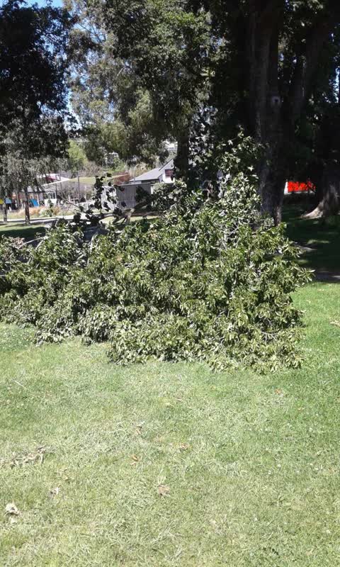 Parks, a report photo