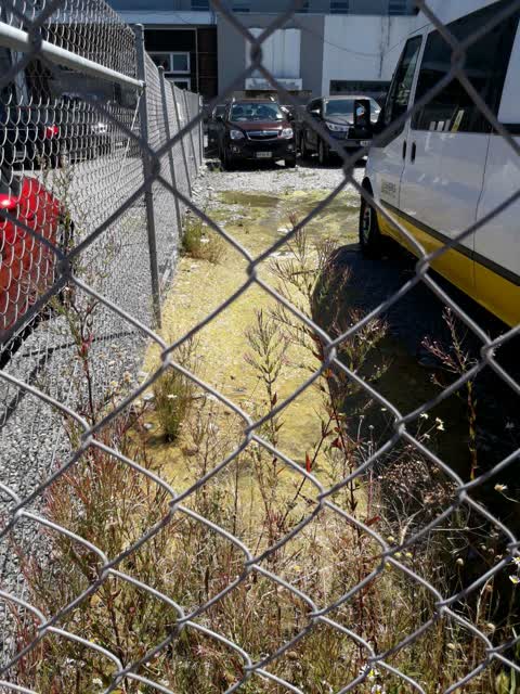 Water Supply, a report photo