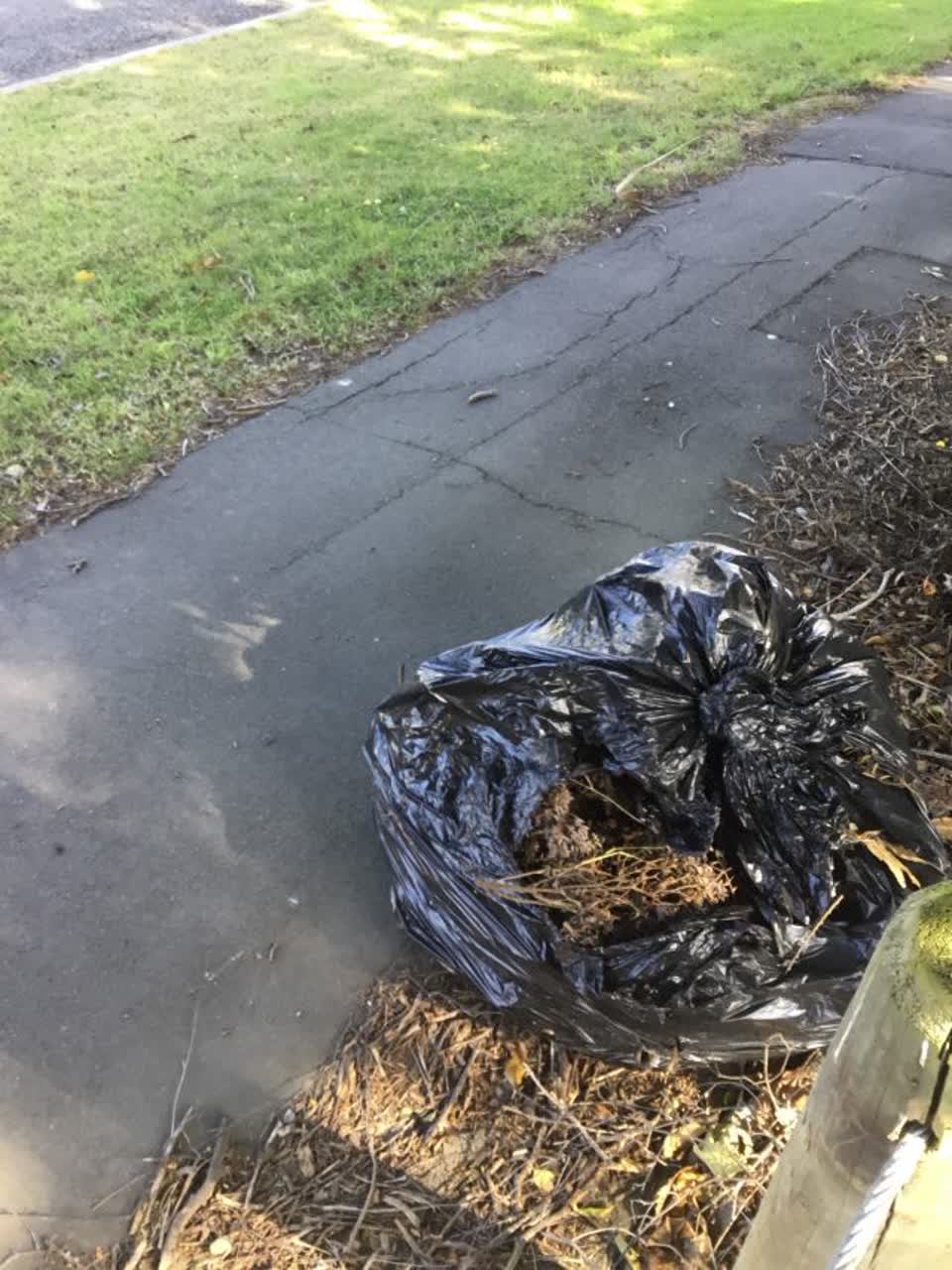 The photograph attached to this rubbish/recycling report