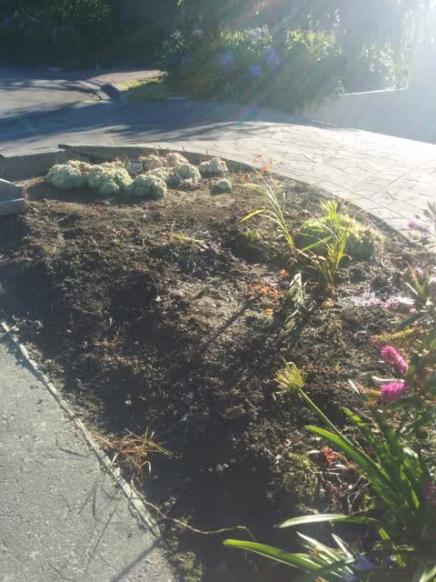 Wastewater/Stormwater, a report photo