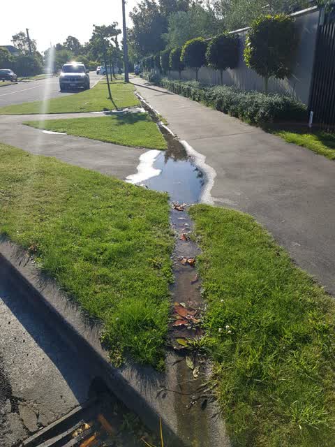 Water Supply, a report photo