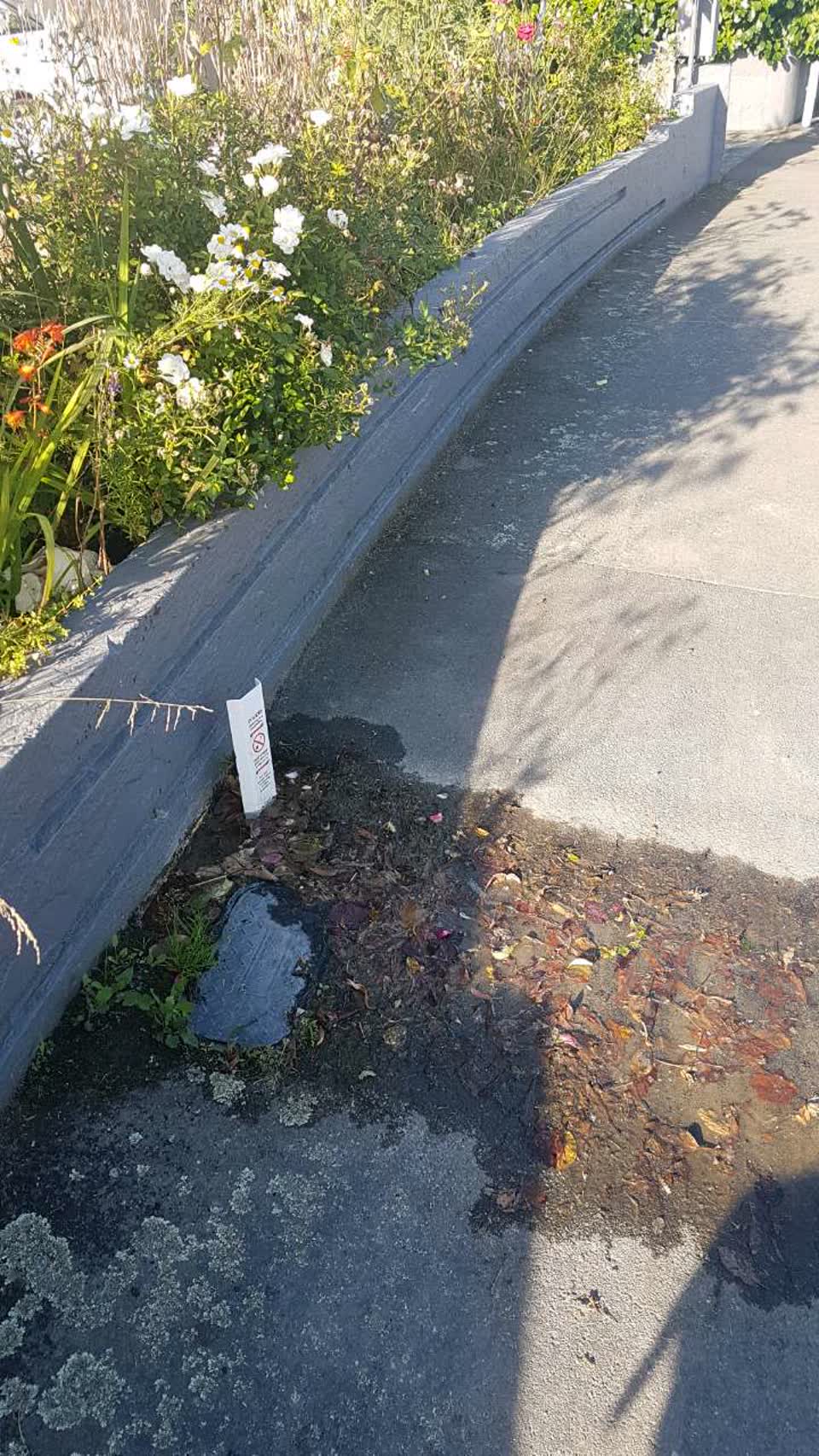 The photograph attached to this water supply report