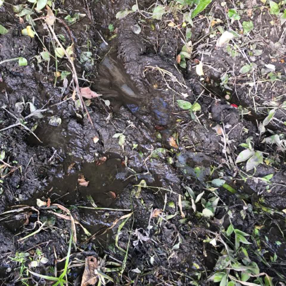 The photograph attached to this wastewater/stormwater report